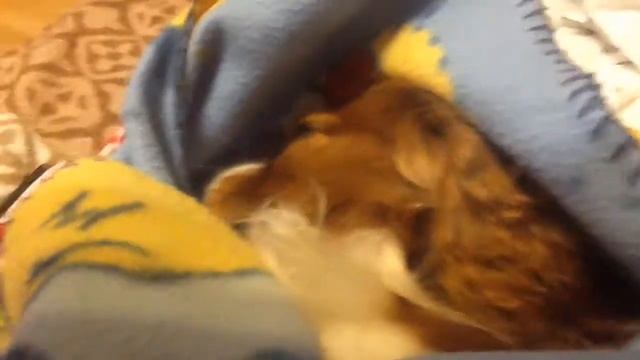 Ццццццццццццццццццццц тихо ребенок спит смотреть онлайн