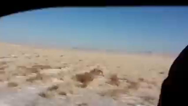 Охота на волков Казахстан(Павлодар) смотреть онлайн