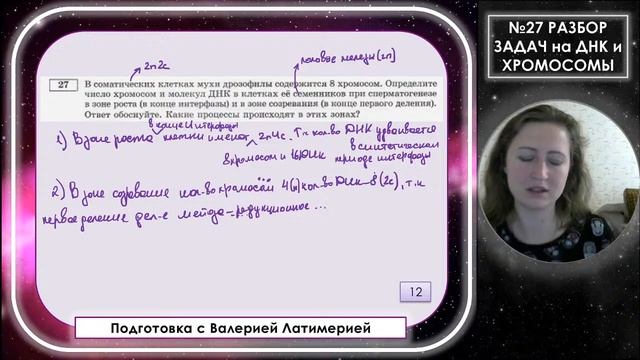 №27 Разбор ВСЕХ типов задач на ДНК и хромосомы! смотреть онлайн