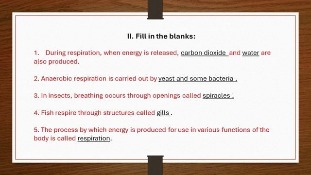 Class 7 Science Chapter 10 Respiration in Organisms. смотреть онлайн