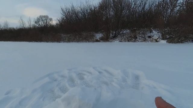 Ловля ПЛОТВЫ на ДОНКИ зимой! Рыбалка на Оке! смотреть онлайн