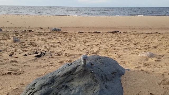 Ритуал - онлайн Просьба, чтобы город принял на полудрагоценный камень. К Хозяину города. смотреть онлайн