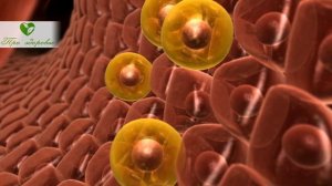 Чистка — огонь! Полная перезагрузка организма! Смесь за неделю растворит бляшки, токсины, шлаки и…