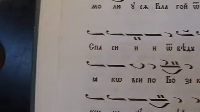 Молебен канон на Пресвета Богородица, 04.08.17 смотреть онлайн