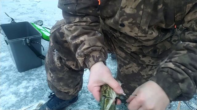 рыбалка на жерлицы . первый лед смотреть онлайн