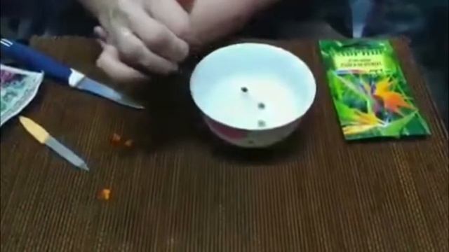 "Райская птица" посадка смотреть онлайн