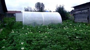 Баня из поликарбоната..avi