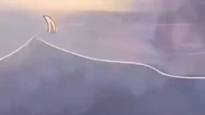 Подборка из Тик Тока - Коты Воители #4