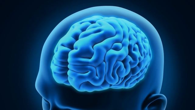 Почему НАМ КАЖЕТСЯ ЧТО МЫ ПАДАЕМ ВО СНЕ смотреть онлайн