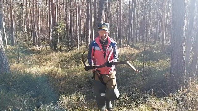 Рога оленя 2022. отличный рог 3.600 смотреть онлайн