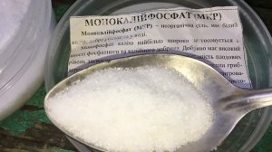 ?? Выращивание голубики. Чем удобрять голубику осенью ?