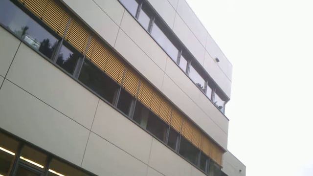 Как выращивают деревья в Германии смотреть онлайн