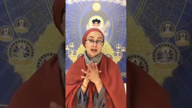 Лекция на тему "Ахимса", - санньяси Адимата Гири. Движение "Йоги за Мир" смотреть онлайн