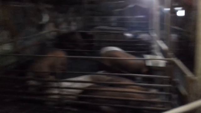 Появился РАБОТНИК !!! Довёл меня до истерике, как можно так тупить !!! смотреть онлайн