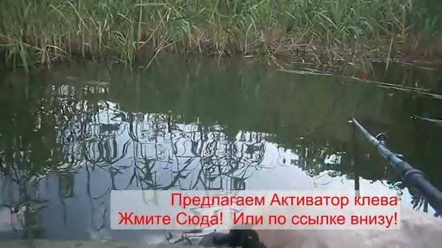 Рыбалка в Самарской области. Вот какая рыбалка в Самарской области смотреть онлайн
