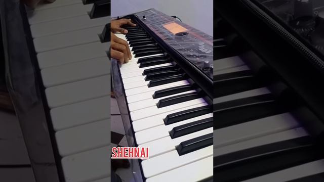ROLAND JUNO G || New 2023 Backup|| Indian ||kirtan|| western || Rajsthani || All Tons смотреть онлайн