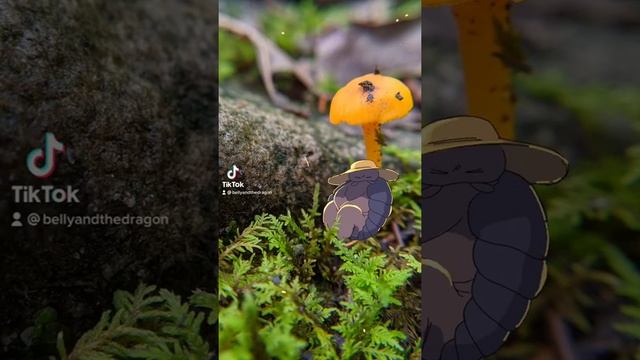 shhhh she's sleeping смотреть онлайн