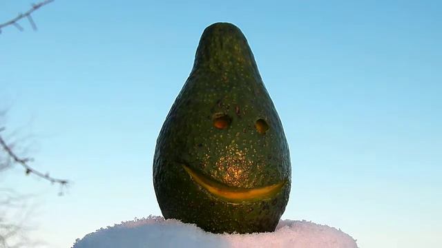 С ДНЕМ РОЖДЕНЬЯ НАТАША от Авокадыча