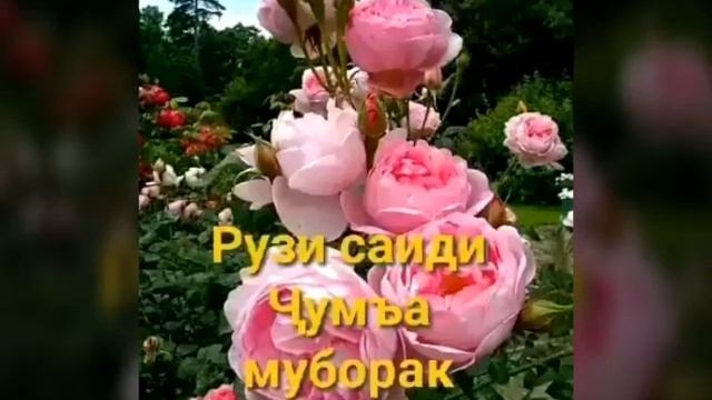 рузи саити чума муборак смотреть онлайн