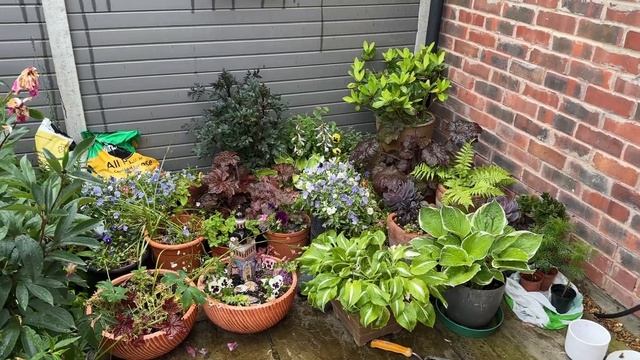 Vlog 383 - Розы в английских садах смотреть онлайн