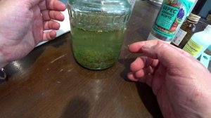 Метод трех вод - подготовка семян моркови