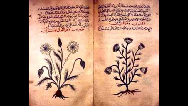 Когда приняли ислам чеченцы смотреть онлайн