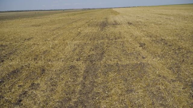 Культиватор для вертикальної обробки КВО-6 ( Токмацький р-н, Запорізька обл.) смотреть онлайн