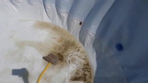 Как откачать воду с каркасного бассейна ,всю до капли.