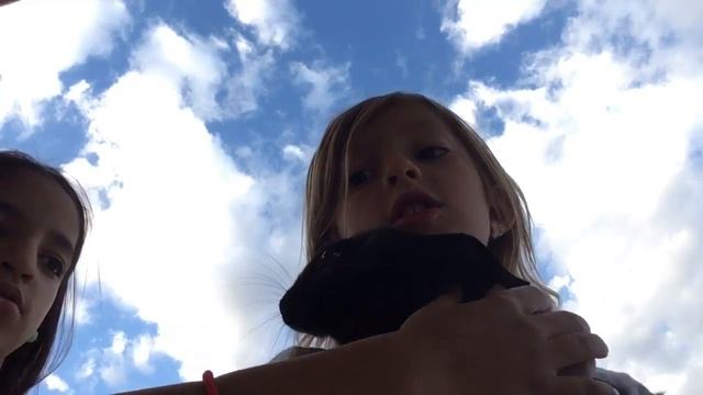Introducing you to my pet bunny смотреть онлайн