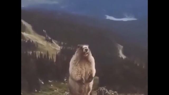 лучшее кв warface-(720p) смотреть онлайн