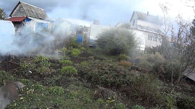Осенний сад меня не отпускает Туя и туевик получили свободу смотреть онлайн
