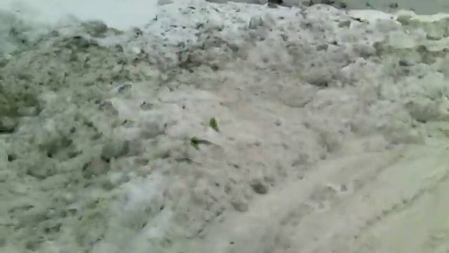 Страсти по незаконной снегосвалке смотреть онлайн