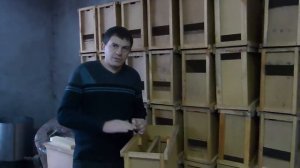 Как выбрать пчелопакет, требования при покупке пчелопакетов