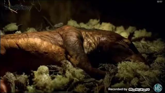 Как появились первые динозавры