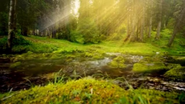 Самые лучшие звуки реки слушать онлайн смотреть онлайн