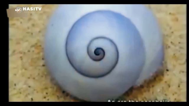 Amazing Numerical Miracle Of Quran | Urdu / Hindi смотреть онлайн