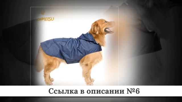 Топ Плащей для собак из китая #2 смотреть онлайн