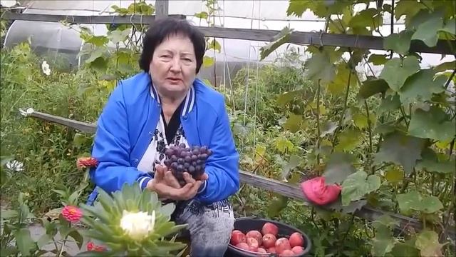 Мы сами рисуем свою жизнь смотреть онлайн