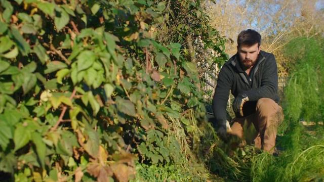 Необычные культуры, традиционные семена и другие цели на следующий сезон | Цели садоводства на 2022 смотреть онлайн