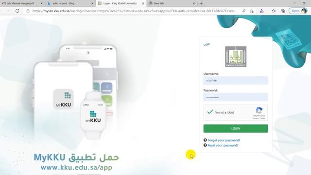 SQL Injection Attack basic level смотреть онлайн