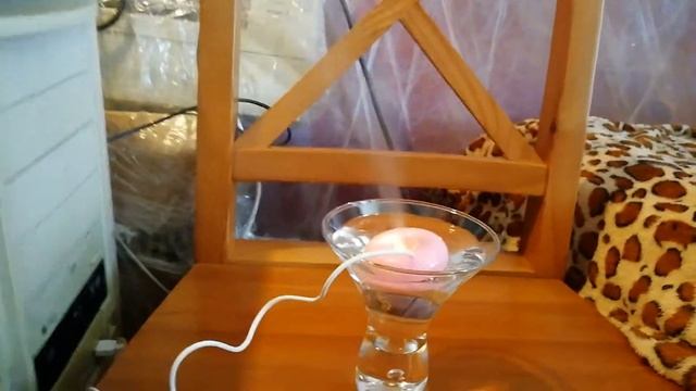 Увлажнитель воздуха "пончик" с JOOM / Our Cat Matyusha & Humidifier смотреть онлайн