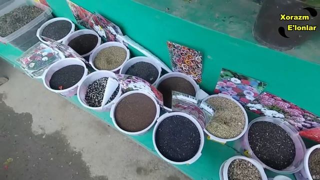 ХОРАЗМ УРГАНЧ ДЕХКОН БОЗОРИ \ URGANCH DEHQON BOZORI NARXLARI #urganch