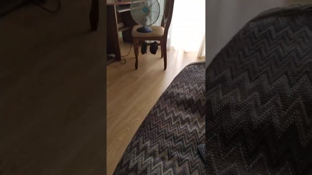 Обзор отличного ноутбука HP (hp14s) смотреть онлайн