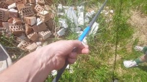 ПОСАДИЛ ГОЛУБИКУ ДЕШЁВЫМ СПОСОБОМ! ГРУНТ ДЛЯ ГОЛУБИКИ ЗА КОПЕЙКИ...