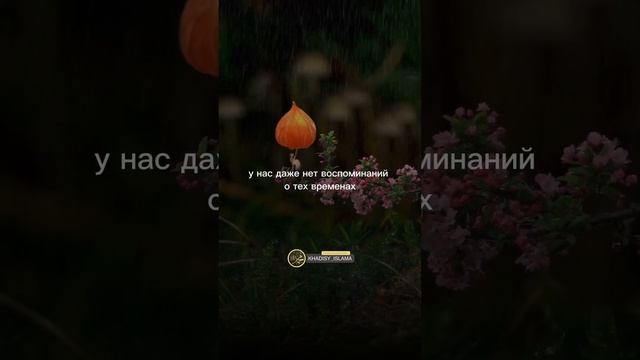 Уважение к родителям #ислам #хадис #мама #отец ##мать #родители #уважение смотреть онлайн