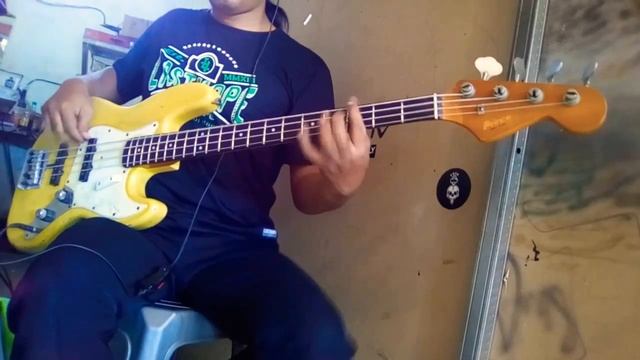 RHCP - by the way Bass cover смотреть онлайн
