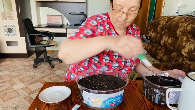 Как разыграла деда 1 апреля.Сею цветы и томаты.#1апреля #дед #обман