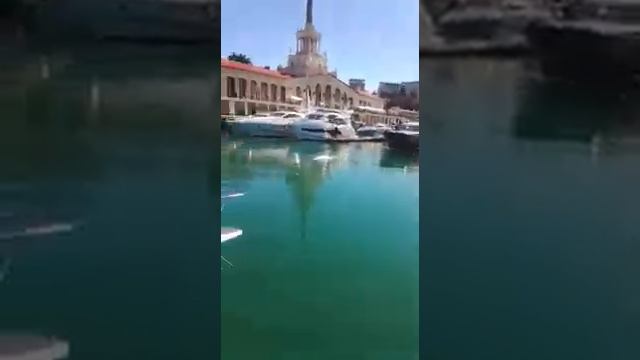 А этот видеоролик был снят сегодня 5 марта 2019 г., как Морпорт г. Сочи посетили Белуги. Уникально смотреть онлайн