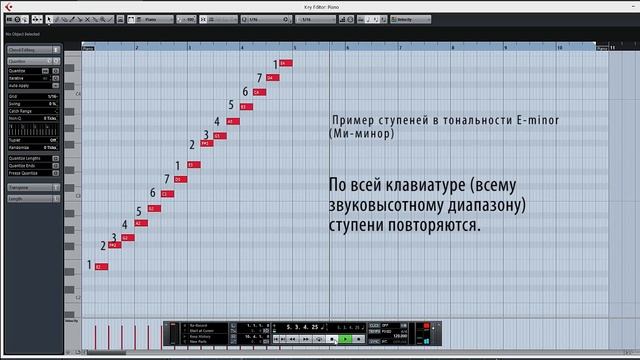 Ступени тональности. Почему ступеней 7, а тональностей много. смотреть онлайн