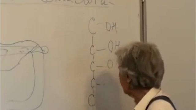 Как влияет мясо на организм? Объясняет биохимик, Марва Оганян смотреть онлайн